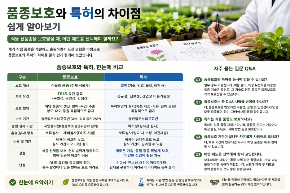 ChatGPT_Image_2026년_8월_28일_오전_11_38_56.png