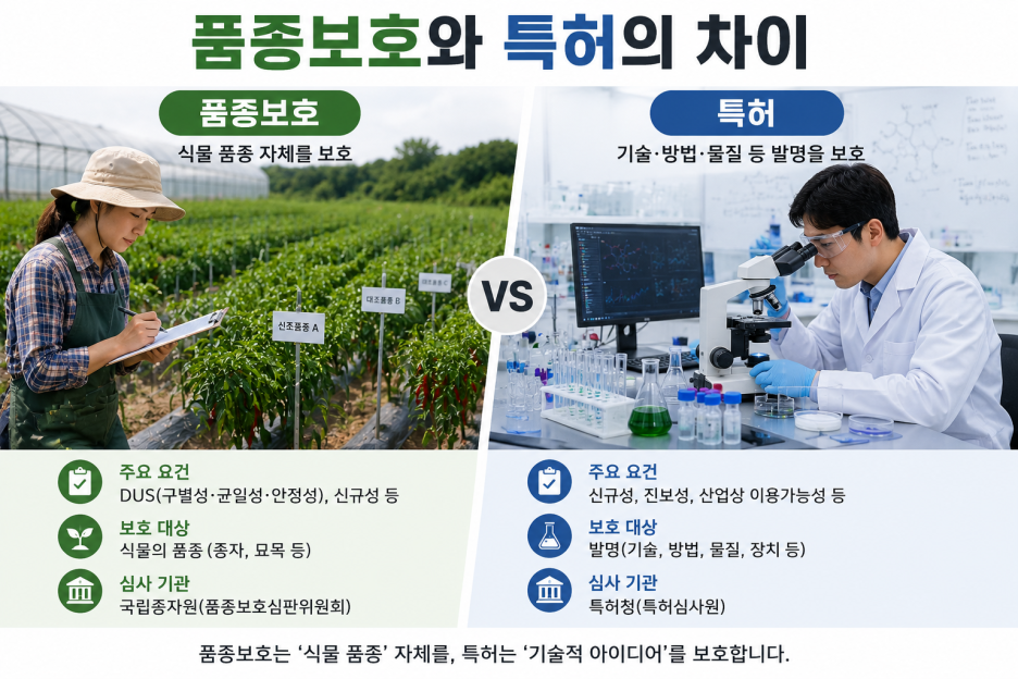 ChatGPT_Image_2026년_8월_28일_오전_11_42_27.png