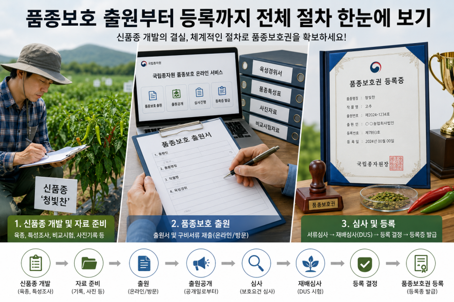 ChatGPT_Image_2026년_8월_28일_오후_02_08_56.png