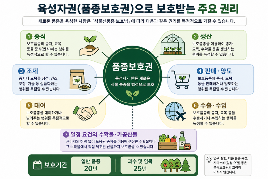 ChatGPT_Image_2026년_8월_30일_오전_10_25_07.png
