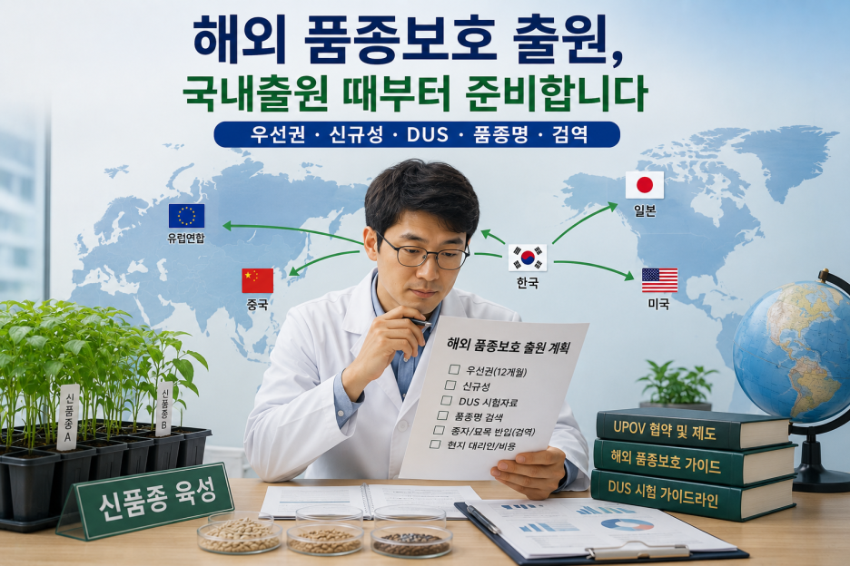 ChatGPT_Image_2026년_8월_30일_오전_10_59_12.png