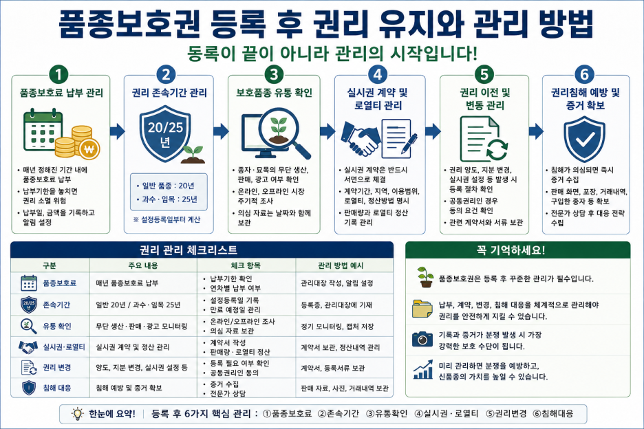 ChatGPT_Image_2026년_8월_30일_오전_11_30_09.png