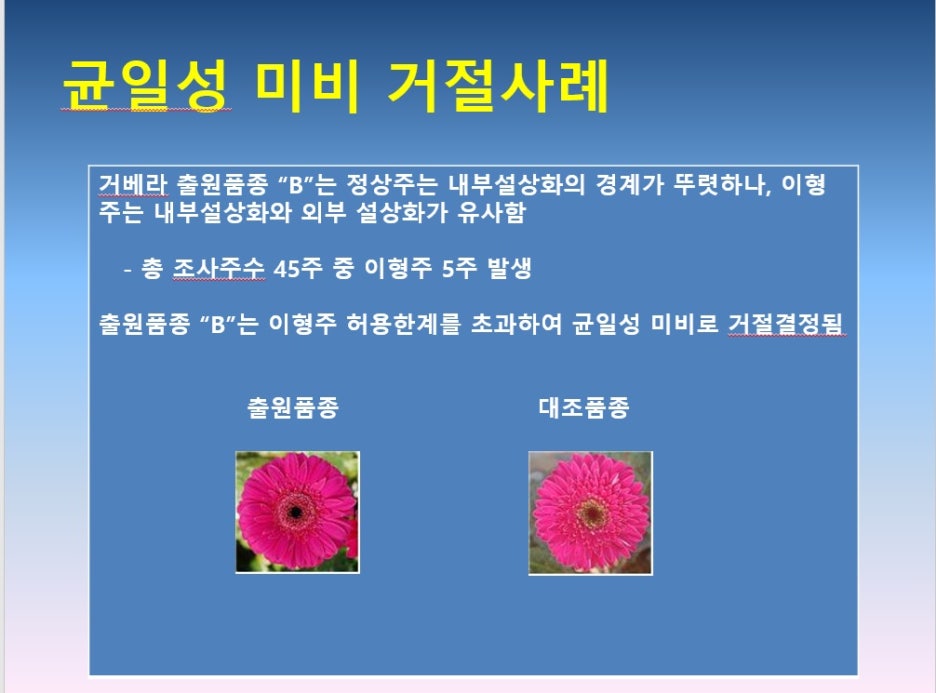 균일성_미비사례.jpg