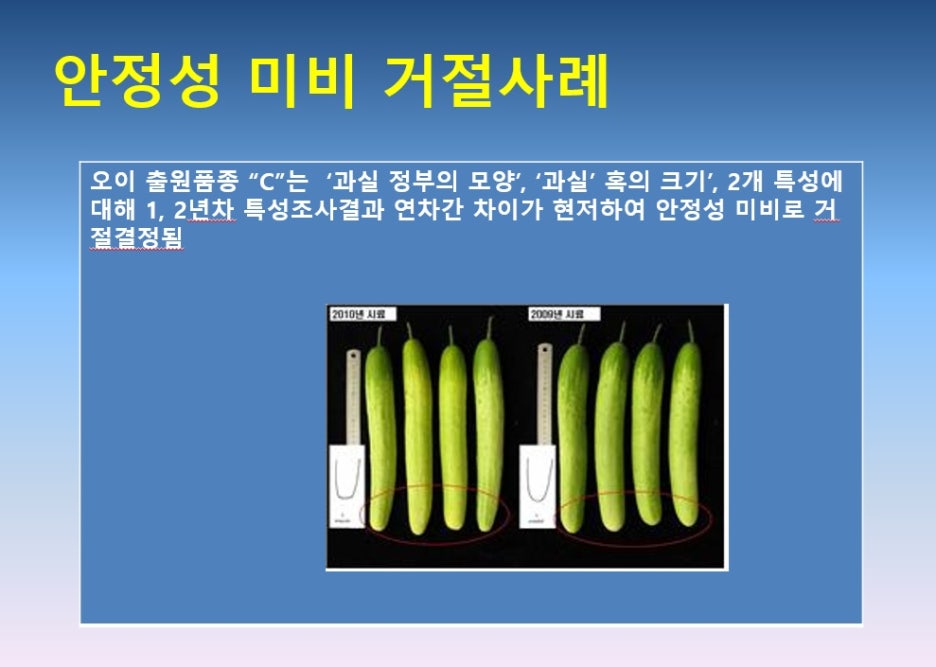 안정성_미비사례.jpg
