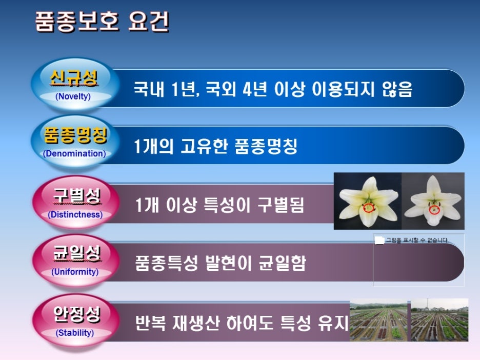 품종보호_요건.jpg